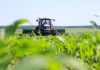 Cina: Heilongjiang, tecnologia e terra nera per la sicurezza alimentare (3)