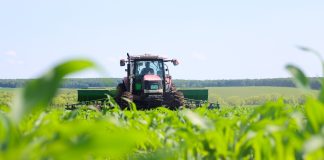 Cina: Heilongjiang, tecnologia e terra nera per la sicurezza alimentare (3)