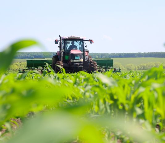 Cina: Heilongjiang, tecnologia e terra nera per la sicurezza alimentare (3)