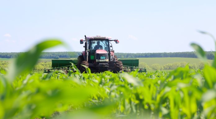 Cina: Heilongjiang, tecnologia e terra nera per la sicurezza alimentare (3)