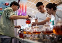 Cina: si chiude a Kunming decima edizione della China-South Asia Expo (3)