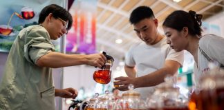 Cina: si chiude a Kunming decima edizione della China-South Asia Expo (3)