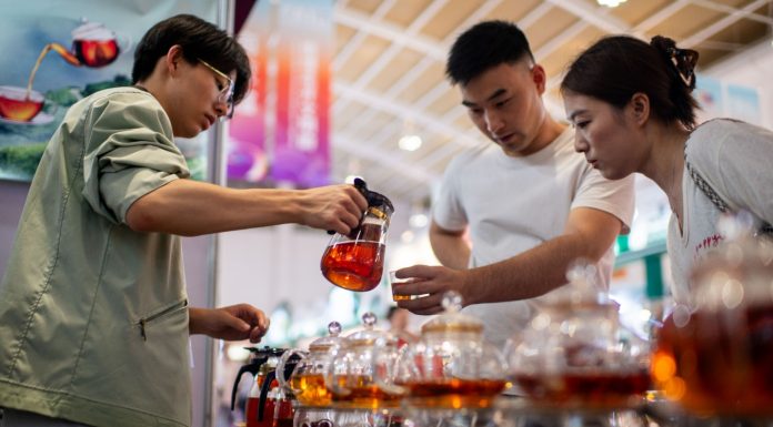 Cina: si chiude a Kunming decima edizione della China-South Asia Expo (3)