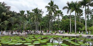 Cina: turismo in crescita durante le vacanze del Dragon Boat Festival (3)
