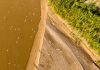 Cina: uccelli migratori lungo il Fiume Giallo nel Ningxia (3)