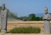 Cina: raccolto di grano tra le statue del Mausoleo Yongtai (1)