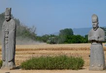 Cina: raccolto di grano tra le statue del Mausoleo Yongtai (1)