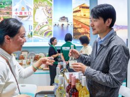 Cina: energia verde e prodotti locali in mostra all’expo di Kunming (2)