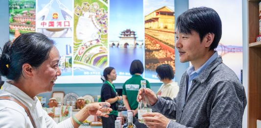 Cina: energia verde e prodotti locali in mostra all’expo di Kunming (2)