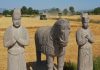 Cina: raccolto di grano tra le statue del Mausoleo Yongtai (3)