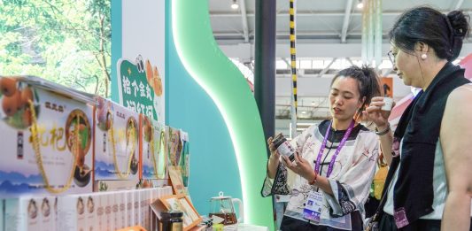Cina: energia verde e prodotti locali in mostra all’expo di Kunming (3)