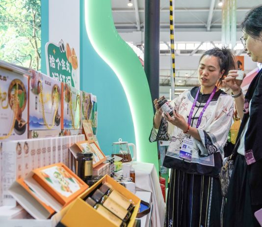 Cina: energia verde e prodotti locali in mostra all’expo di Kunming (3)