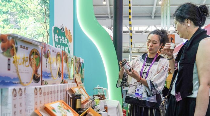 Cina: energia verde e prodotti locali in mostra all’expo di Kunming (3)