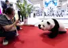 Cina: robot e IA in vetrina all’Int’l Supply Chain Expo (2)