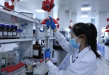 Cina: Handan rafforza l’ecosistema dell’innovazione tecnologica (1)