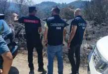 Incendi, il CUFAA rafforza il dispositivo nazionale per la difesa dei boschi