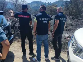 Incendi, il CUFAA rafforza il dispositivo nazionale per la difesa dei boschi