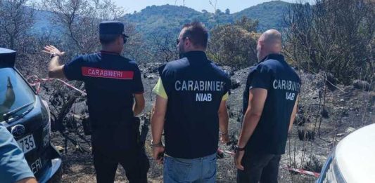 Incendi, il CUFAA rafforza il dispositivo nazionale per la difesa dei boschi