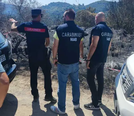 Incendi, il CUFAA rafforza il dispositivo nazionale per la difesa dei boschi