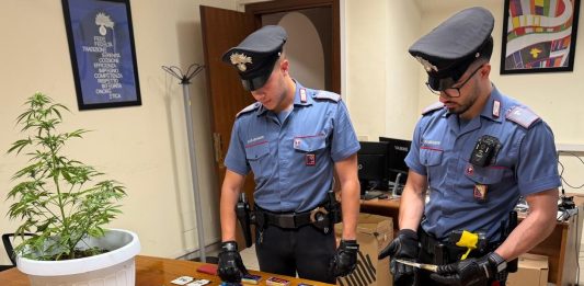 Operazione antidroga in diversi quartieri di Roma, 7 arresti