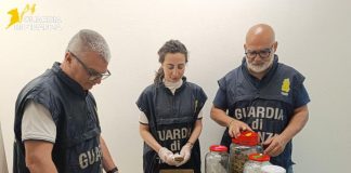 Sequestrati 13 chili di stupefacenti nel Cagliaritano, un arresto / Video