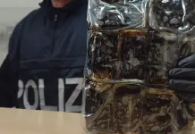 Scoperto drug storage con 27 kg di hashish, un arresto a Roma