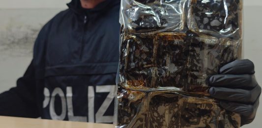 Scoperto drug storage con 27 kg di hashish, un arresto a Roma