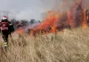 Antincendio boschivo, aggiornate le prescrizioni regionali per la campagna AIB 2026