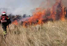 Antincendio boschivo, aggiornate le prescrizioni regionali per la campagna AIB 2026