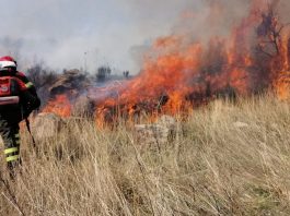 Antincendio boschivo, aggiornate le prescrizioni regionali per la campagna AIB 2026