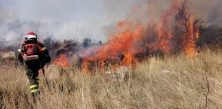 Antincendio boschivo, aggiornate le prescrizioni regionali per la campagna AIB 2026