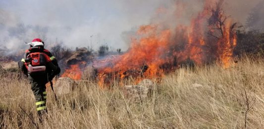 Antincendio boschivo, aggiornate le prescrizioni regionali per la campagna AIB 2026