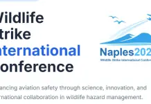 Trasporto aereo, a Napoli un meeting Enac sulla gestione del rischio da impatti con la fauna selvatica