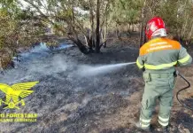 Ancora incendi in Sardegna, oltre 30 roghi: fronti a San Sperate, Decimoputzu e Pozzomaggiore
