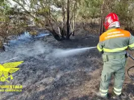 Ancora incendi in Sardegna, oltre 30 roghi: fronti a San Sperate, Decimoputzu e Pozzomaggiore