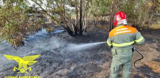 Ancora incendi in Sardegna, oltre 30 roghi: fronti a San Sperate, Decimoputzu e Pozzomaggiore