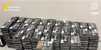 Maxi sequestro di 3 quintali di cocaina provenienti dalla Colombia nel porto di Vado Ligure