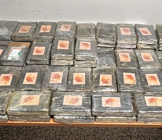 Ancona, arrestati tre soggetti e sequestrati 111 kg di cocaina