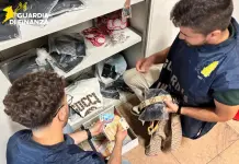 Perquisizioni della Guardia di Finanza nel Milanese, sequestrati oltre 15.000 capi contraffatti