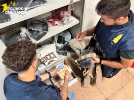 Perquisizioni della Guardia di Finanza nel Milanese, sequestrati oltre 15.000 capi contraffatti