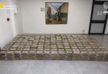 Maxi sequestro di 800kg di cocaina all’interno del Porto di Vado Ligure
