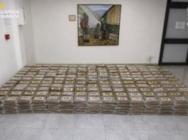 Maxi sequestro di 800kg di cocaina all’interno del Porto di Vado Ligure / Video
