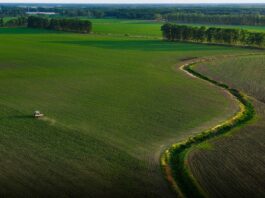 Portavoce Cina, pronti a facilitare commercio agricolo bilaterale con Usa