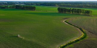 Portavoce Cina, pronti a facilitare commercio agricolo bilaterale con Usa