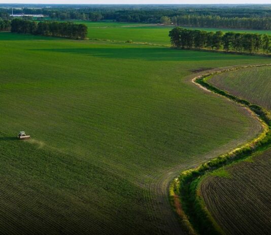 Portavoce Cina, pronti a facilitare commercio agricolo bilaterale con Usa