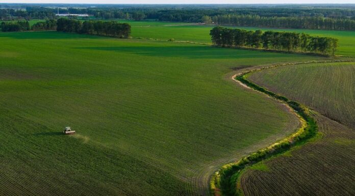 Portavoce Cina, pronti a facilitare commercio agricolo bilaterale con Usa