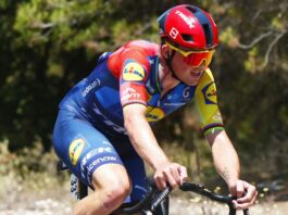 Pedersen vince la 4^ tappa, Traeen nuova maglia gialla al Tour
