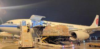 Cina, aperte 92 nuove rotte aeree cargo internazionali nel primo semestre