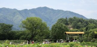 Cina, buoni di consumo per 450 mln di yuan a favore del turismo estivo