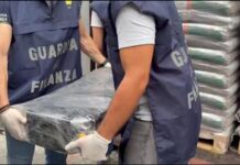 Sequestrati al porto di Gioia Tauro 113 kg di cocaina